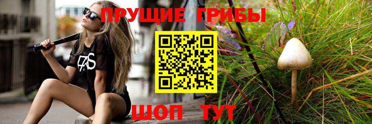 Псилоцибиновые грибы Psilocybine cubensis  Вход с VPN  Псилоцибиновые грибы Cubensis  Лесосибирск 